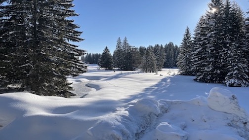 Schneelandschaft in Žabljak