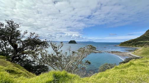 One Bay of Coromandel Peninsula