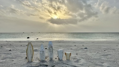 Tintenfischkörper in Masirah